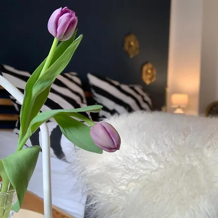 Hen Coop In Complete House Mit Optionaler Sauna