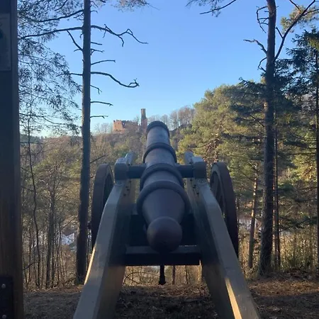 Hen Coop In Complete House Mit Optionaler Sauna Διαμέρισμα