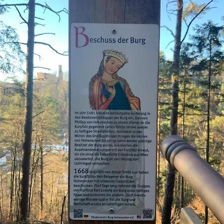 Hen Coop In Complete House Mit Optionaler Sauna *