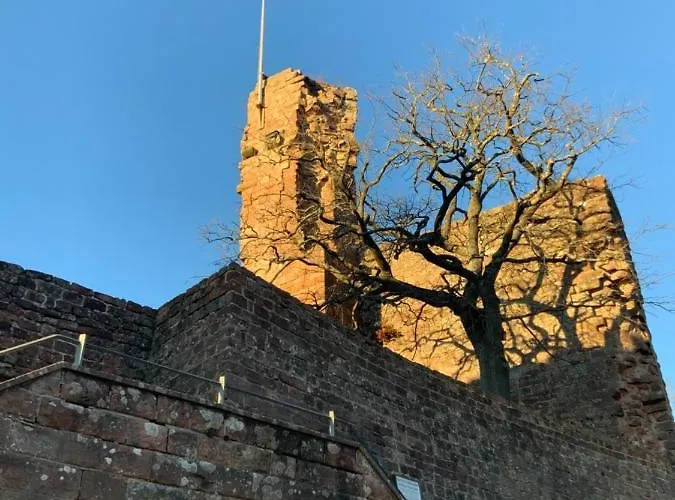 Hen Coop In Complete House Mit Optionaler Sauna Appartement