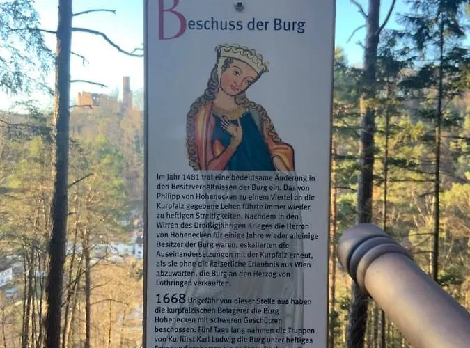 Hen Coop In Complete House Mit Optionaler Sauna *